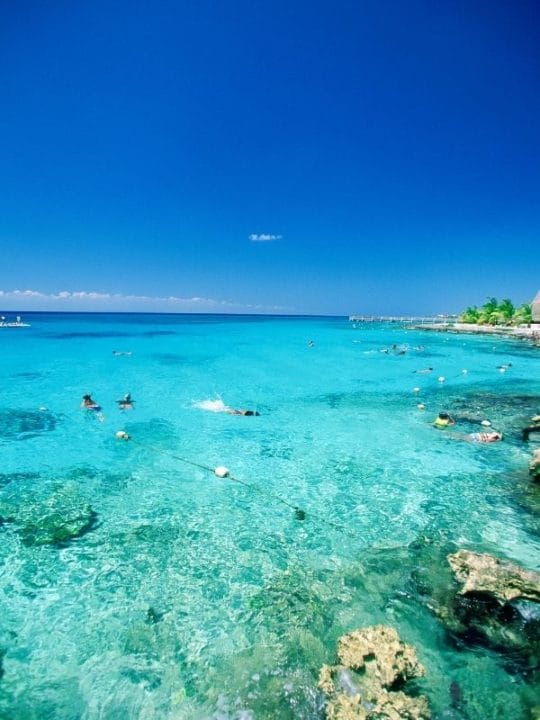 The Best Dive Shops In Cozumel For The Most Incredible Diving Experience