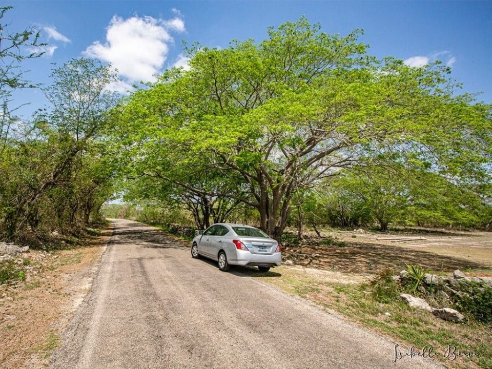 Renting A Car In Tulum Mexico The Ultimate Guide