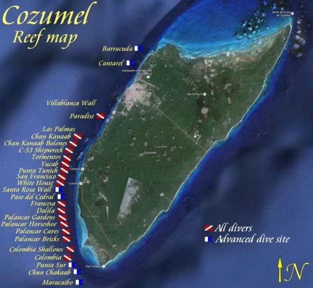 The 15 Best Dive Sites in Cozumel for the Best Mexico Diving