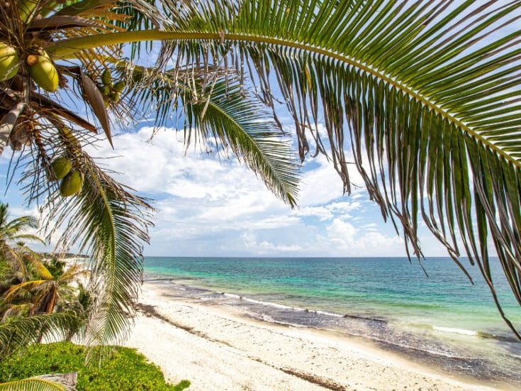When Is The Best Time To Go To Tulum?
