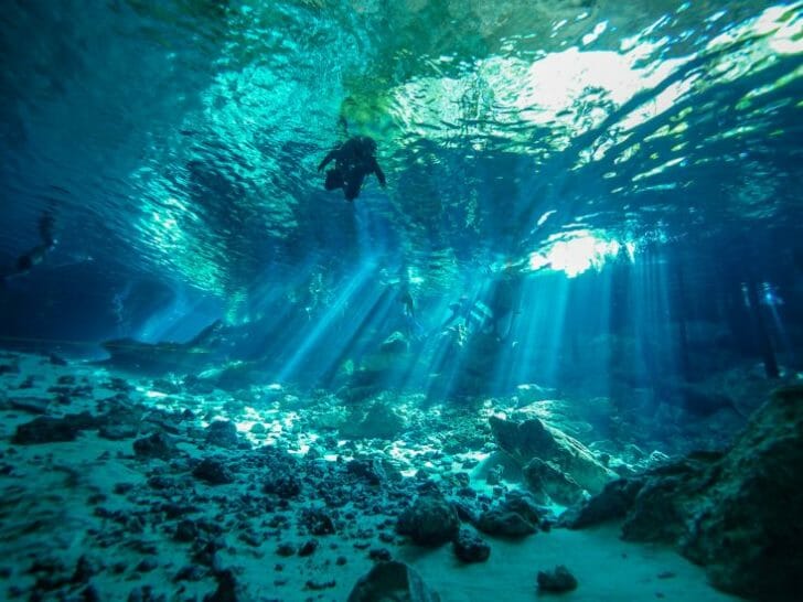 DIVING IN MEXICO Lets Travel to Mexico