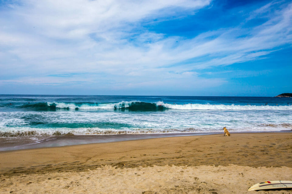 The 17 Best Surf Spots In Mexico The Ultimate Guide