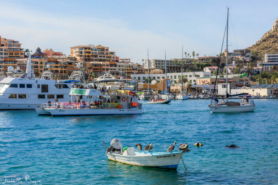 Best Time To Visit Cabo For Weather Events And Things To Do Lets