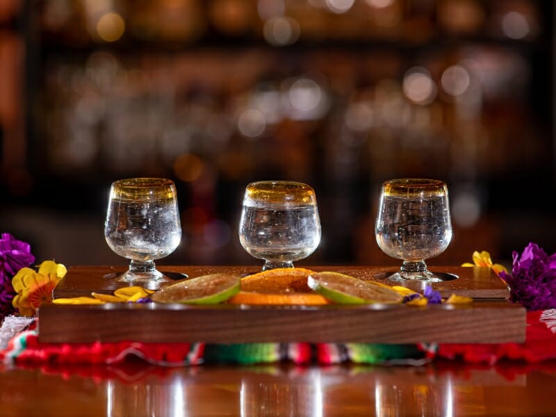 The 7 Best Tours For Tequila Tasting In Cabo San Lucas
