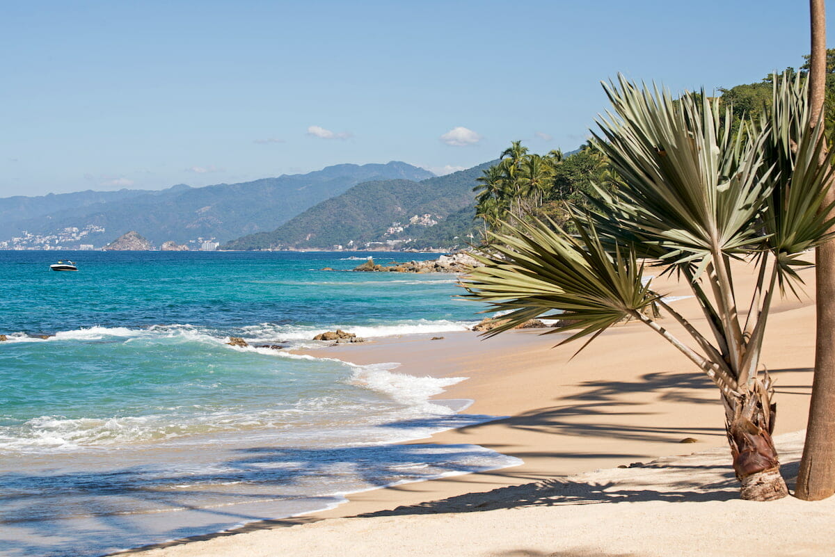 Puerto Vallarta In November Weather, And Things To Do